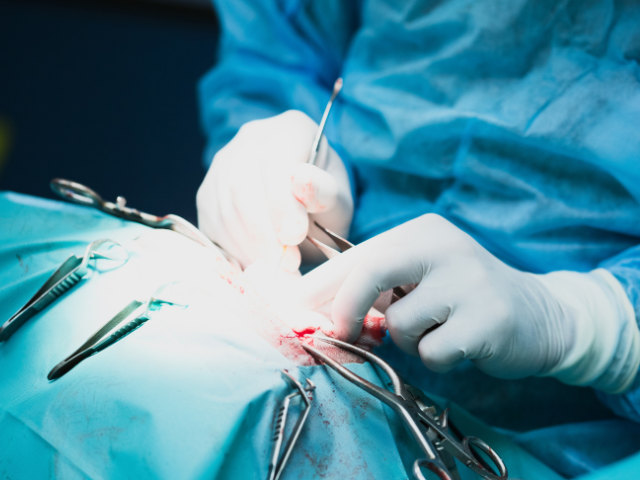 surgery